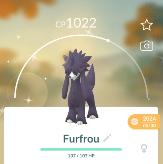 Shiny Furfrou Pokemon Trade Go