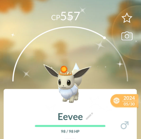 Shiny Eevee with Moon Crown Pokemon Trade Go